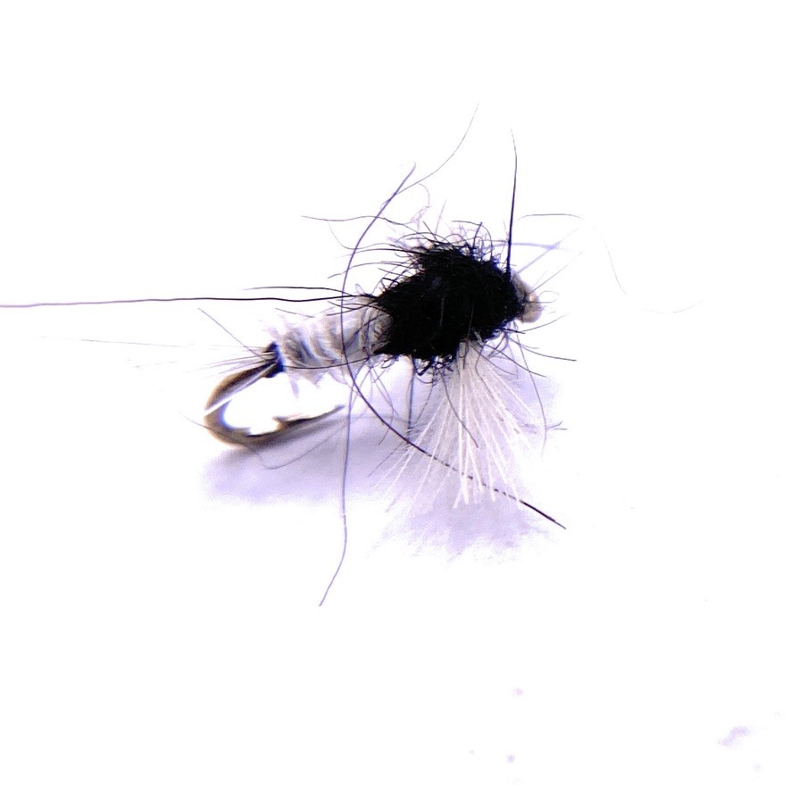 CDC Biot Spinner - Trico Female