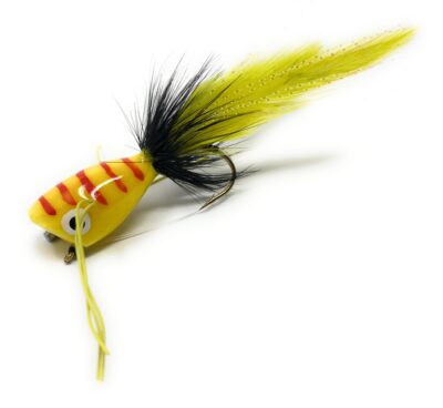 Yellow Red Stripped Bass Popper
